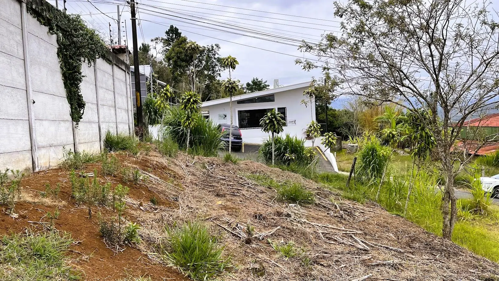 LOT FOR SALE IN SAN RAMON, ALAJUELA - image 8