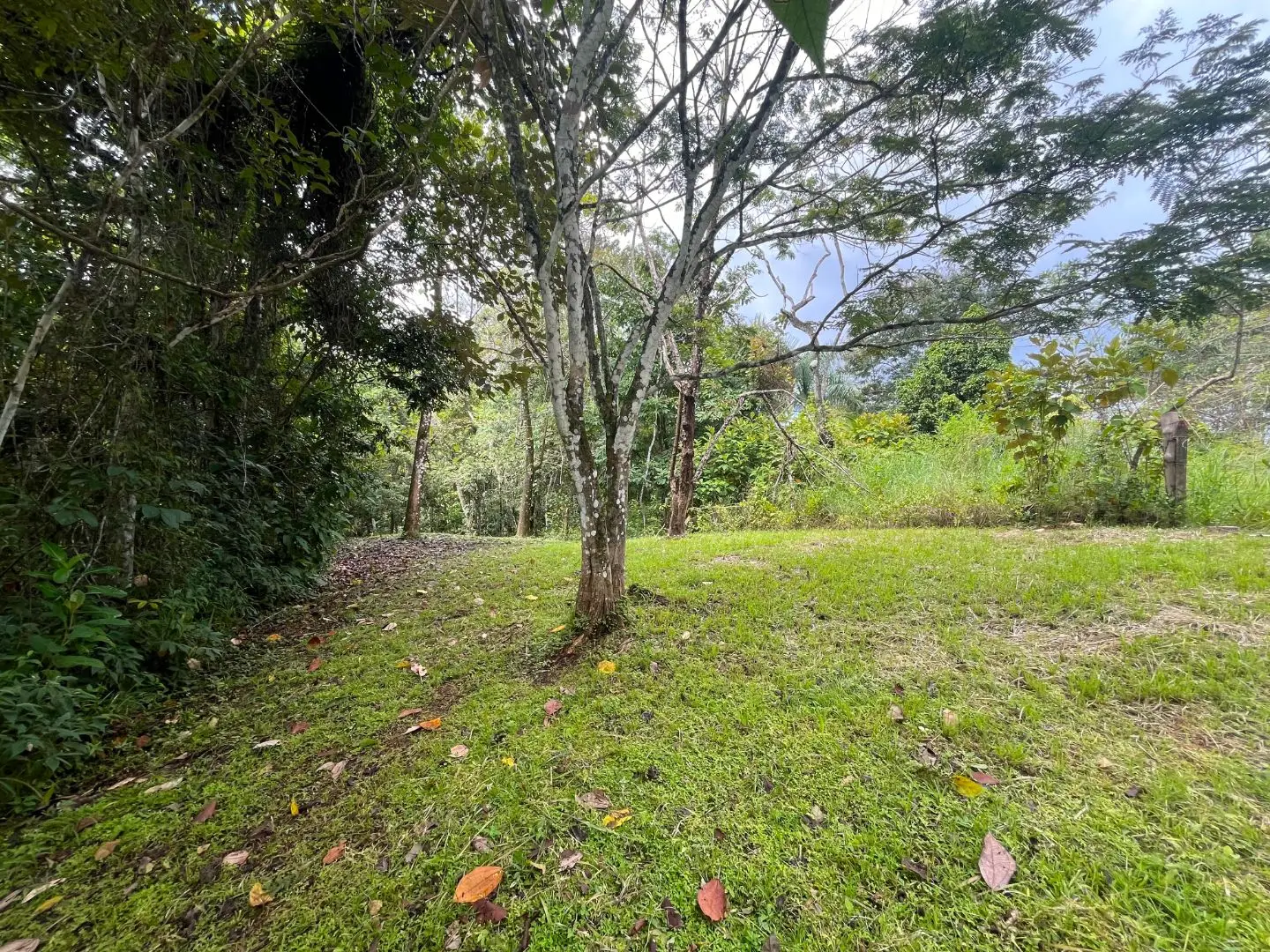 Beautiful Ready to Build Lot in Delicias,  Great Price with Project and Permits included - image 5