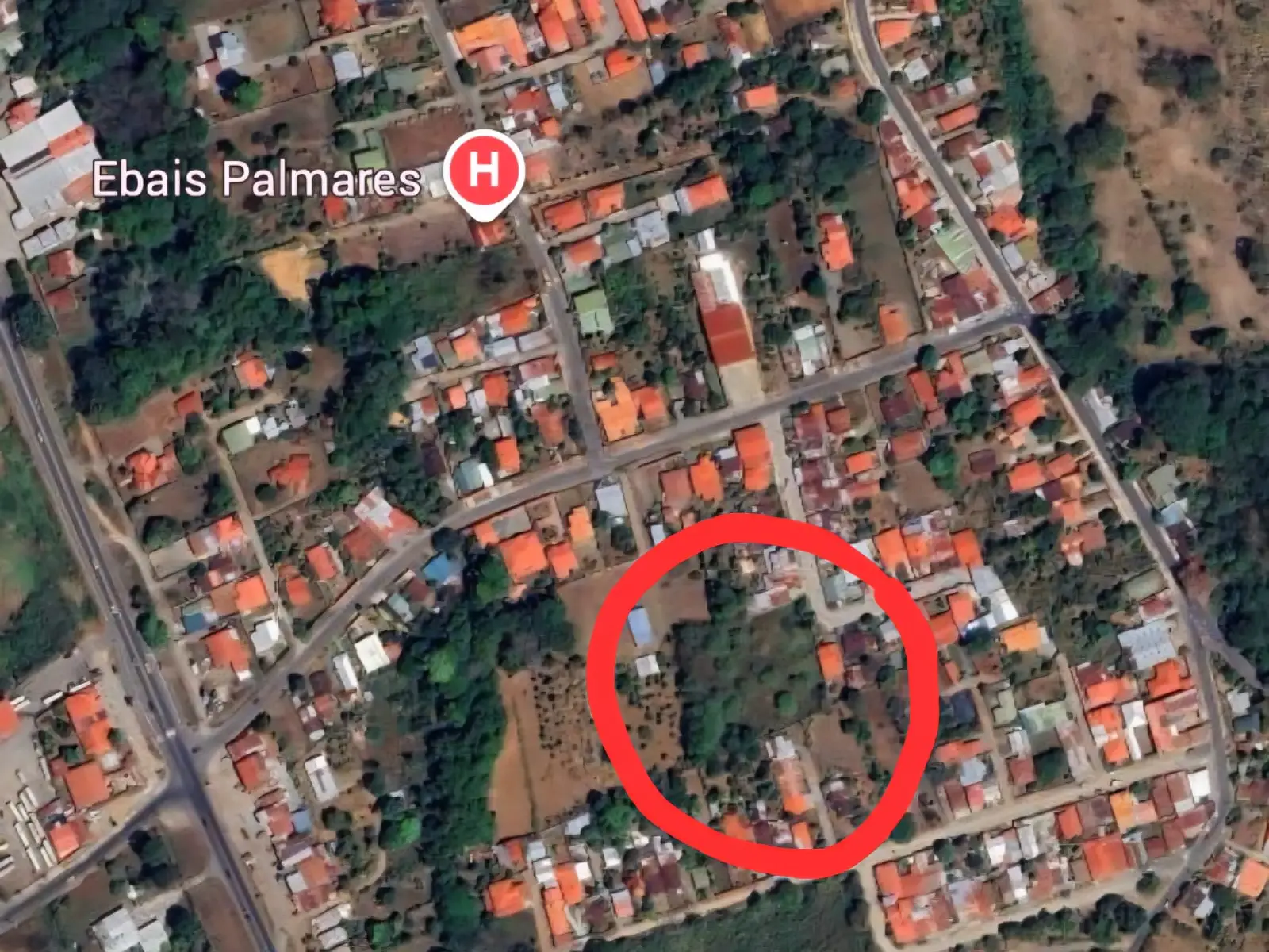 Prime Land for Sale in Palmares, Pérez Zeledón - image 3