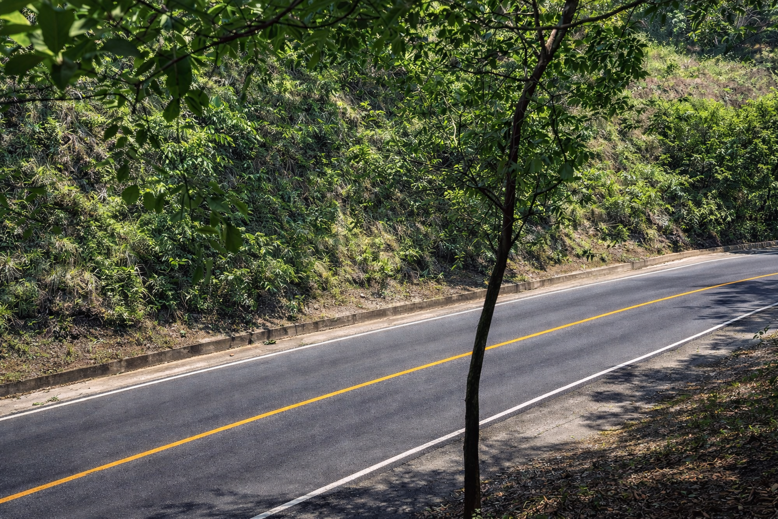 Sale / Very Nice Lot, El Mastate, Orotina, Alajuela - image 11