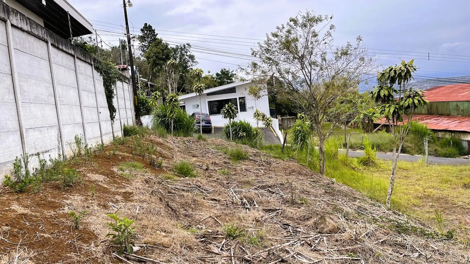 LOT FOR SALE IN SAN RAMON, ALAJUELA - image 9