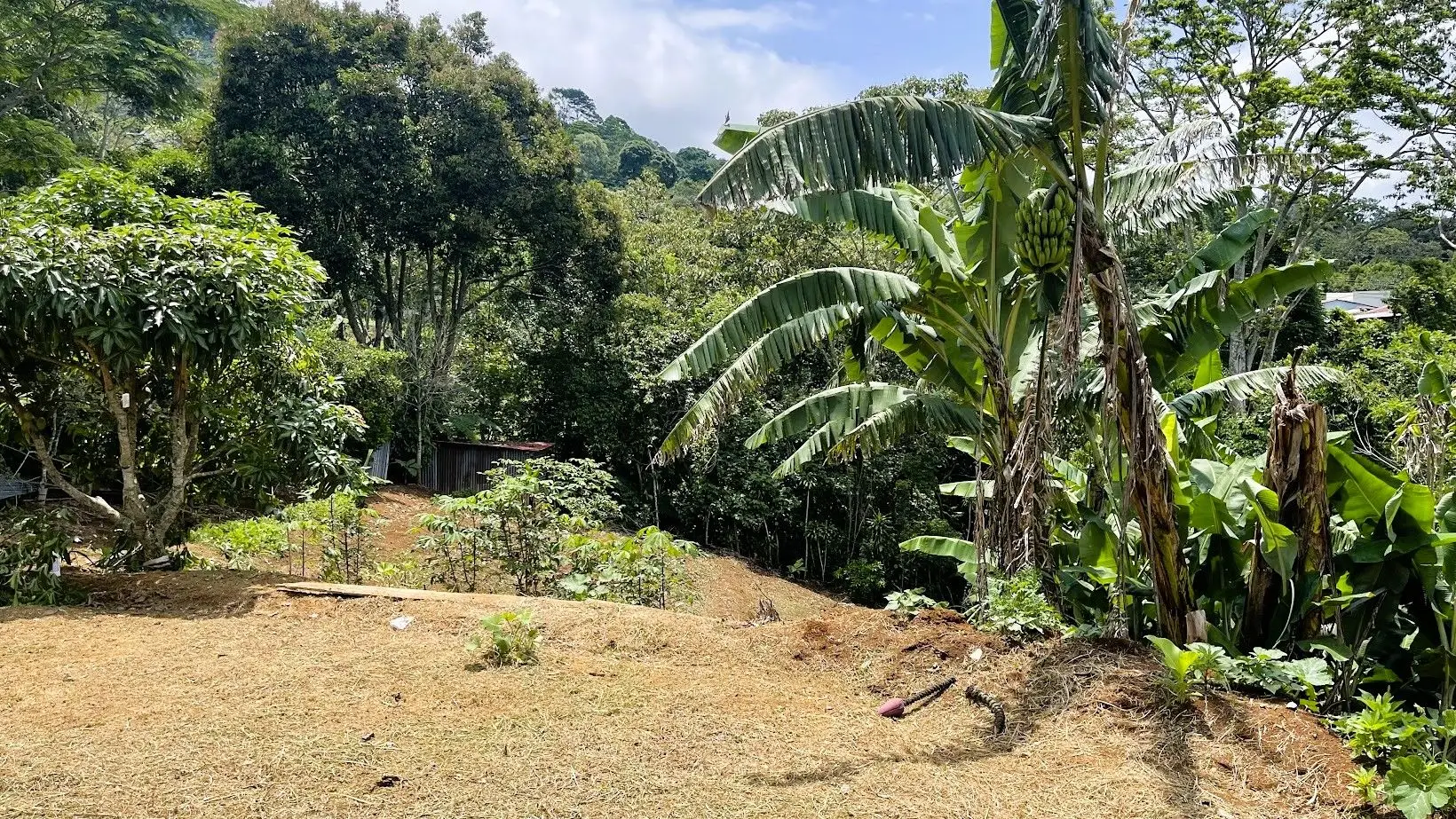 LOT FOR SALE IN ZARAGOZA, PALMARES  - image 3