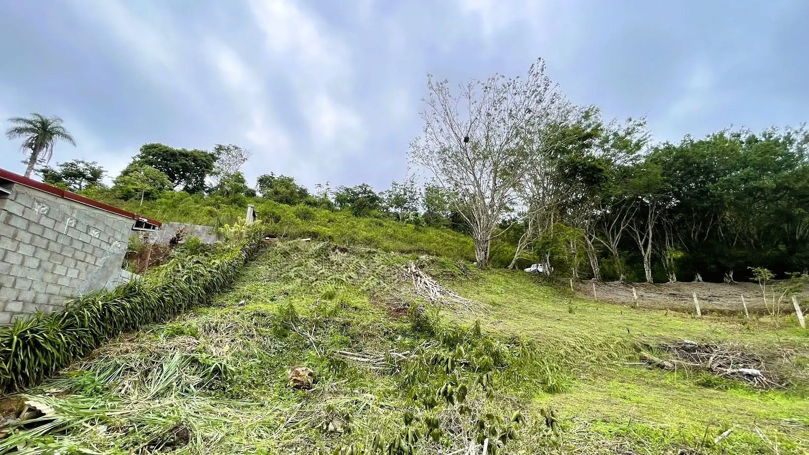 LOT FOR SALE IN SAN PEDRO, SAN RAMON - image 5