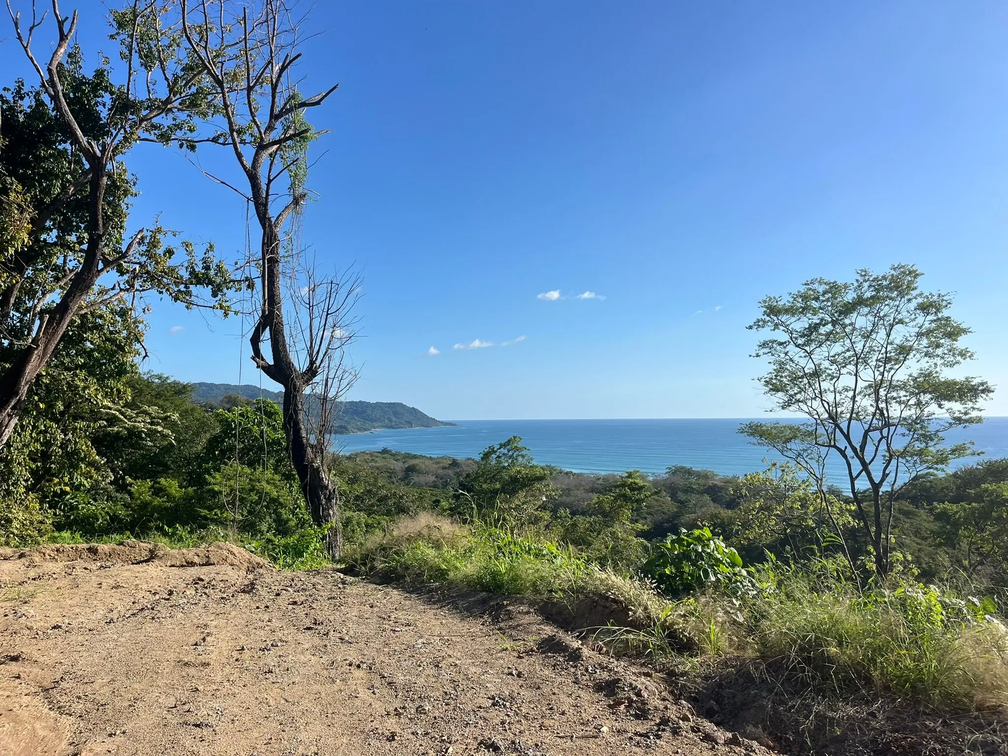 Amazing ocean view lot in the heart of Santa Teresa  - image 2
