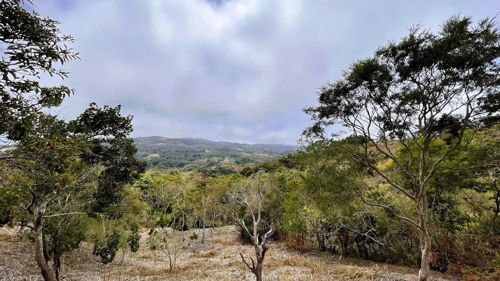 LOT FOR SALE - SAN PEDRO, SAN RAMON  - image 4
