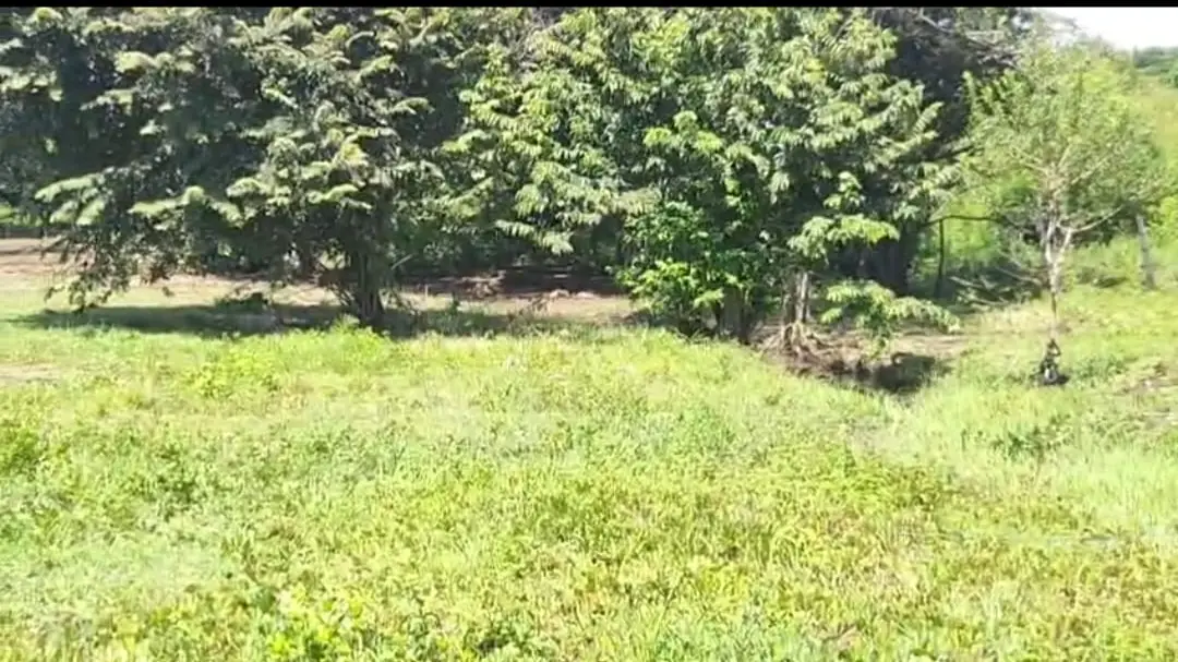 Prime Land in La Fortuna, Bagaces - Build Your Dream Home! - image 4