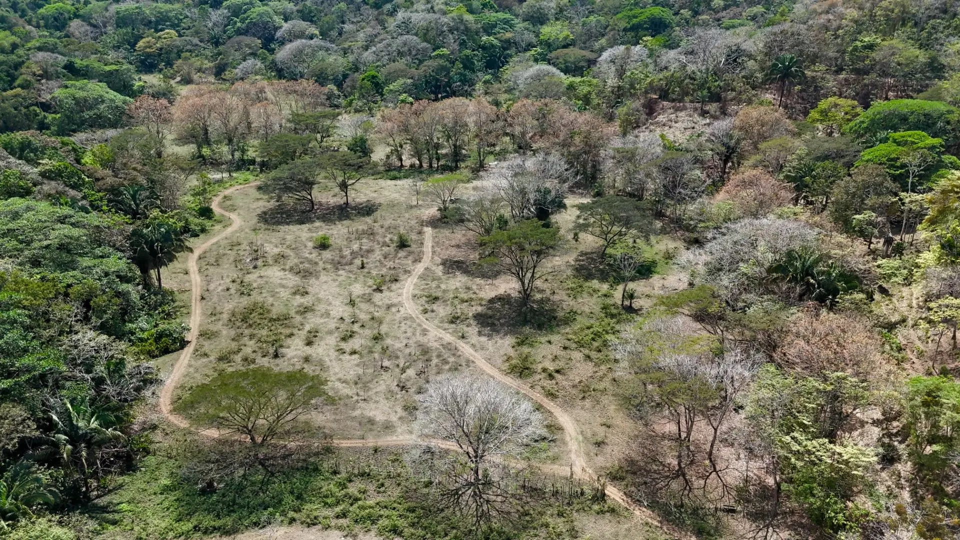 Central Pacific Oceanfront Resort Development Site | 111.9 Acres - image 6