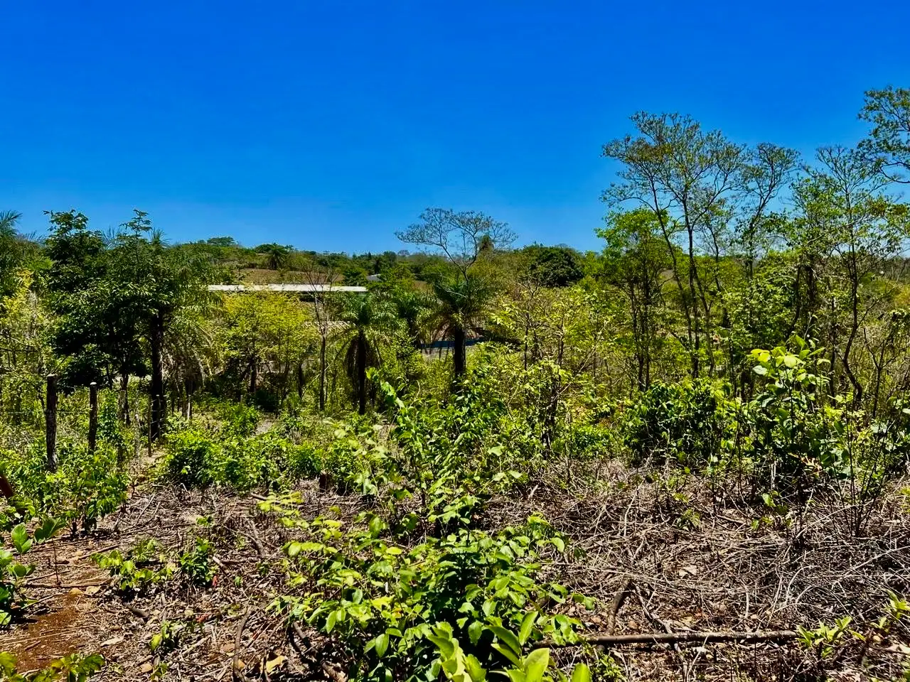 Prime Development Land Overlooking Carara Reserve & Tárcoles River | 2 Hectares - image 4