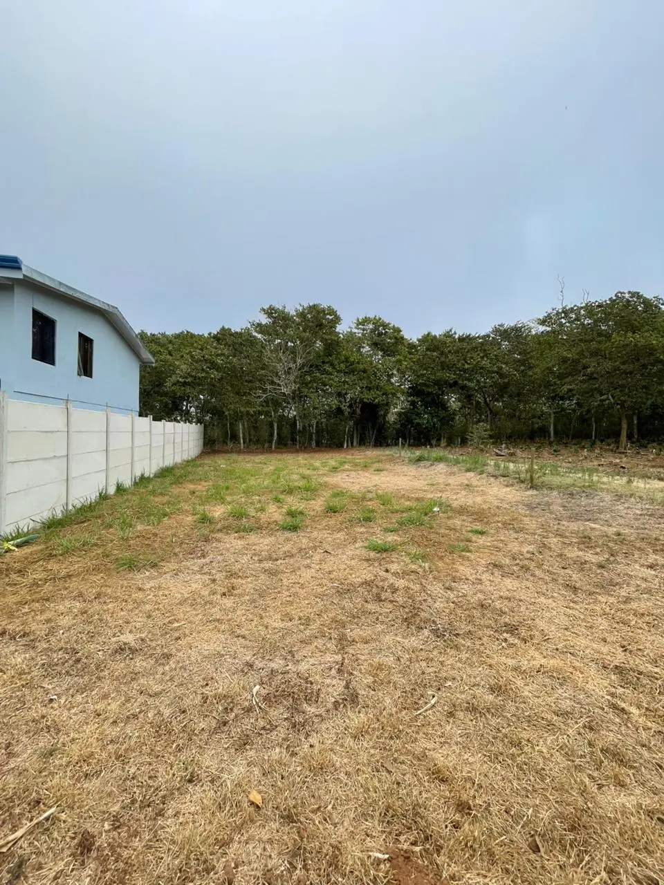 Prime 300sqm Residential Lot in Zaragoza, Palmares, Alajuela - Build Your Dream Home! - image 5