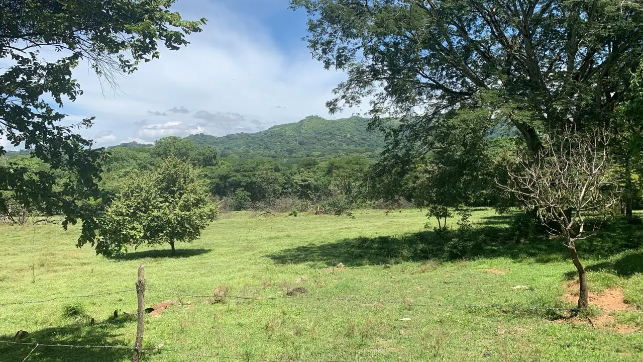Expansive 2.77 Hectare Quinta in Scenic Turrúcares, Alajuela, Costa Rica - image 6