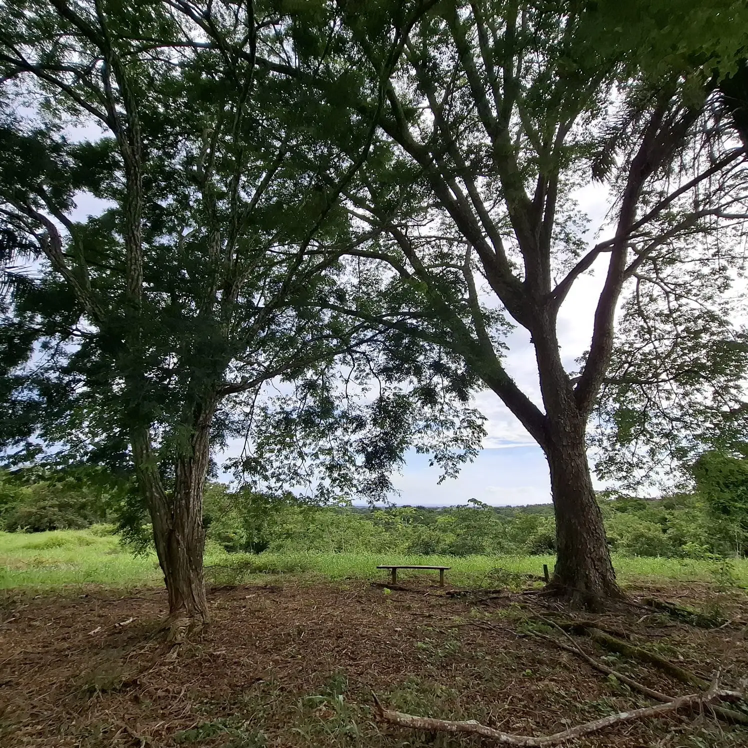 Garabito Land: 4-Acre Lot in Eco Desarrollo Community - image 7