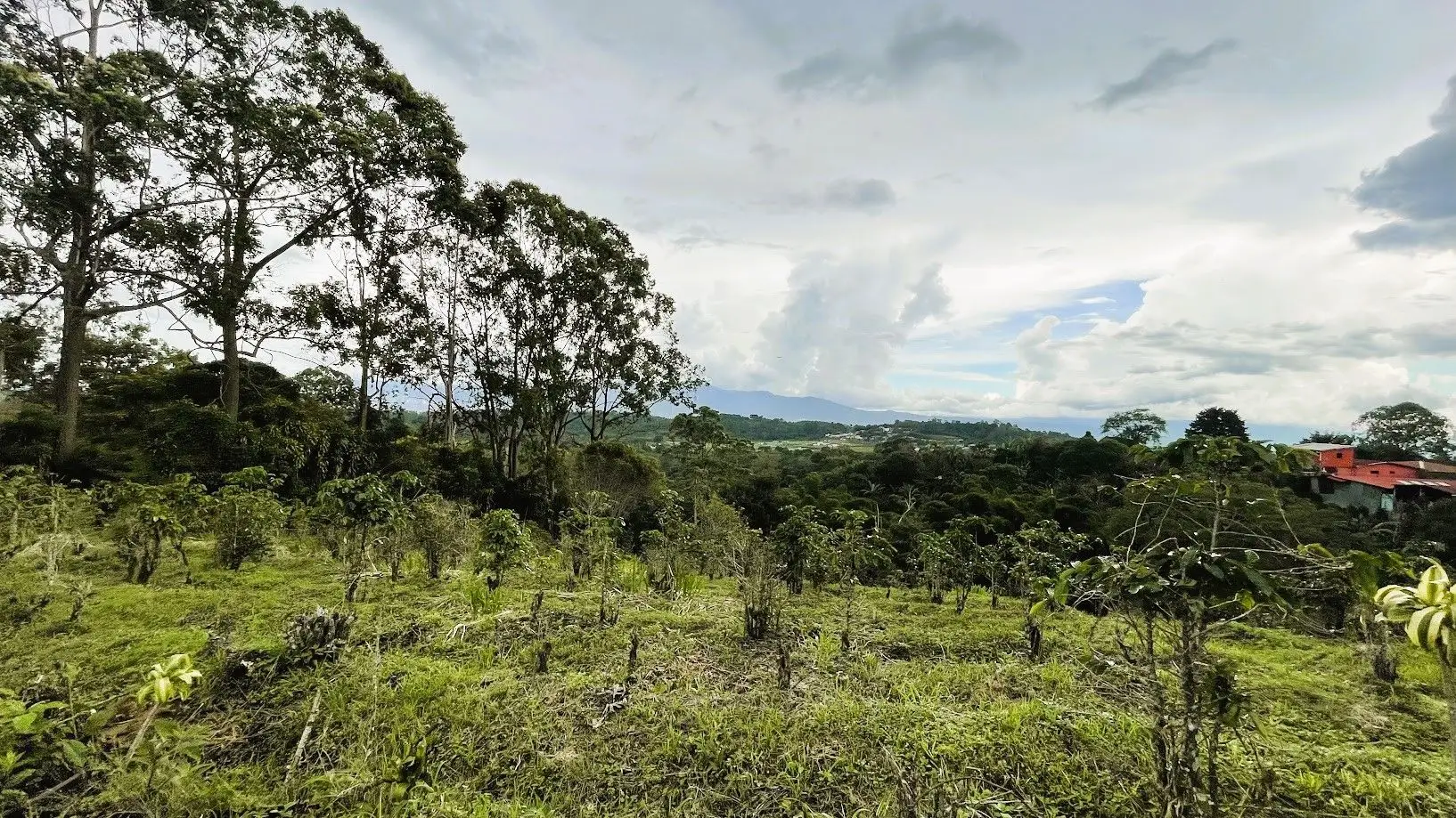 LAND WITH A HOUSE IN CARRIZAL, ALAJUELA - image 15