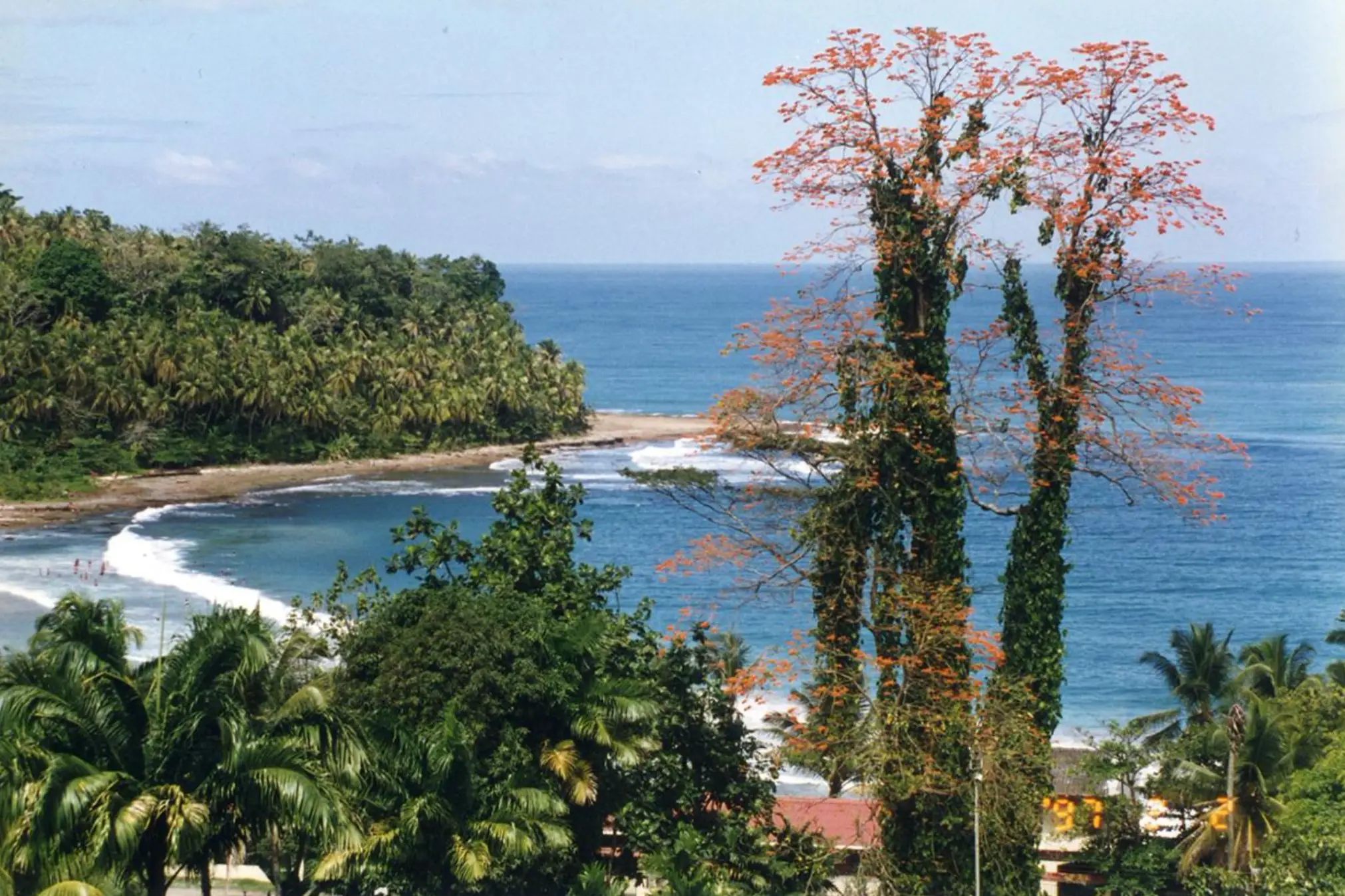 BEACHFRONT INVESTMENT OPPORTUNITY IN MATAMA , LIMON , COSTA RICA. - image 3