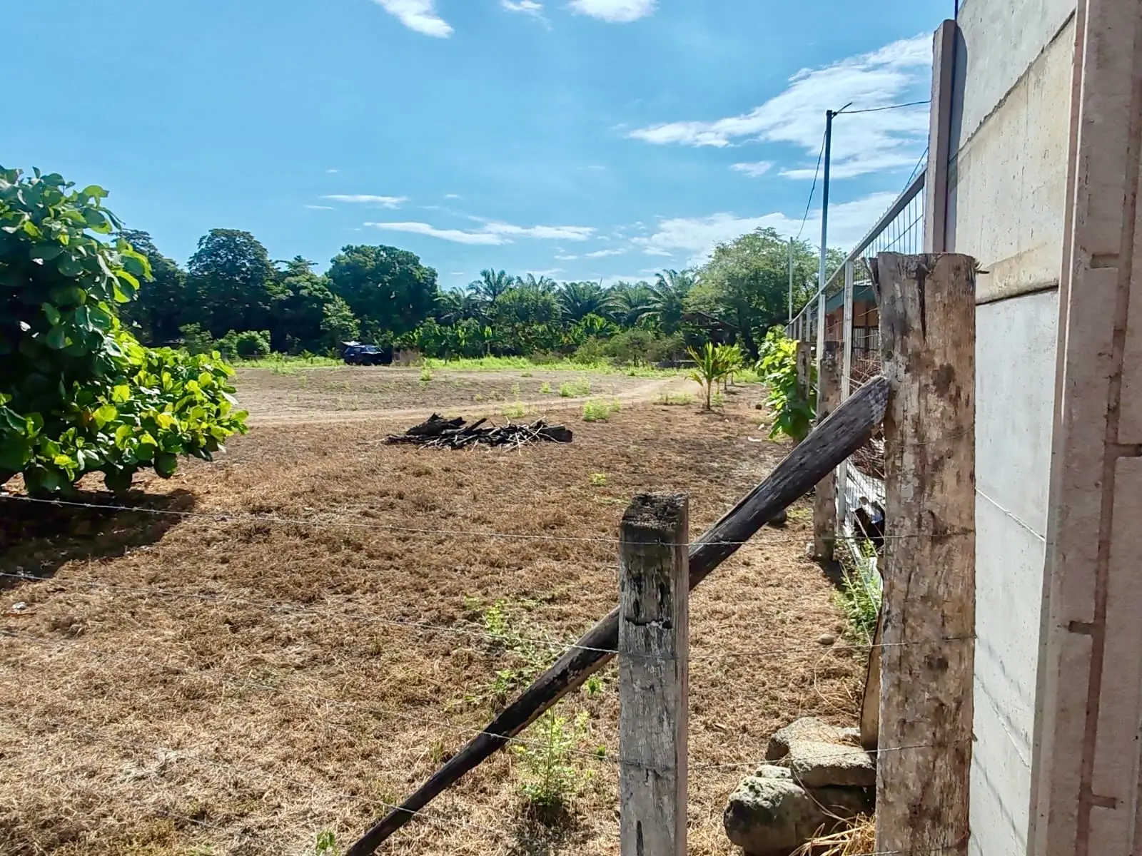 Expansive 4200sqm Land for Development or Farming near Playa Palo Seco, Parrita - image 10