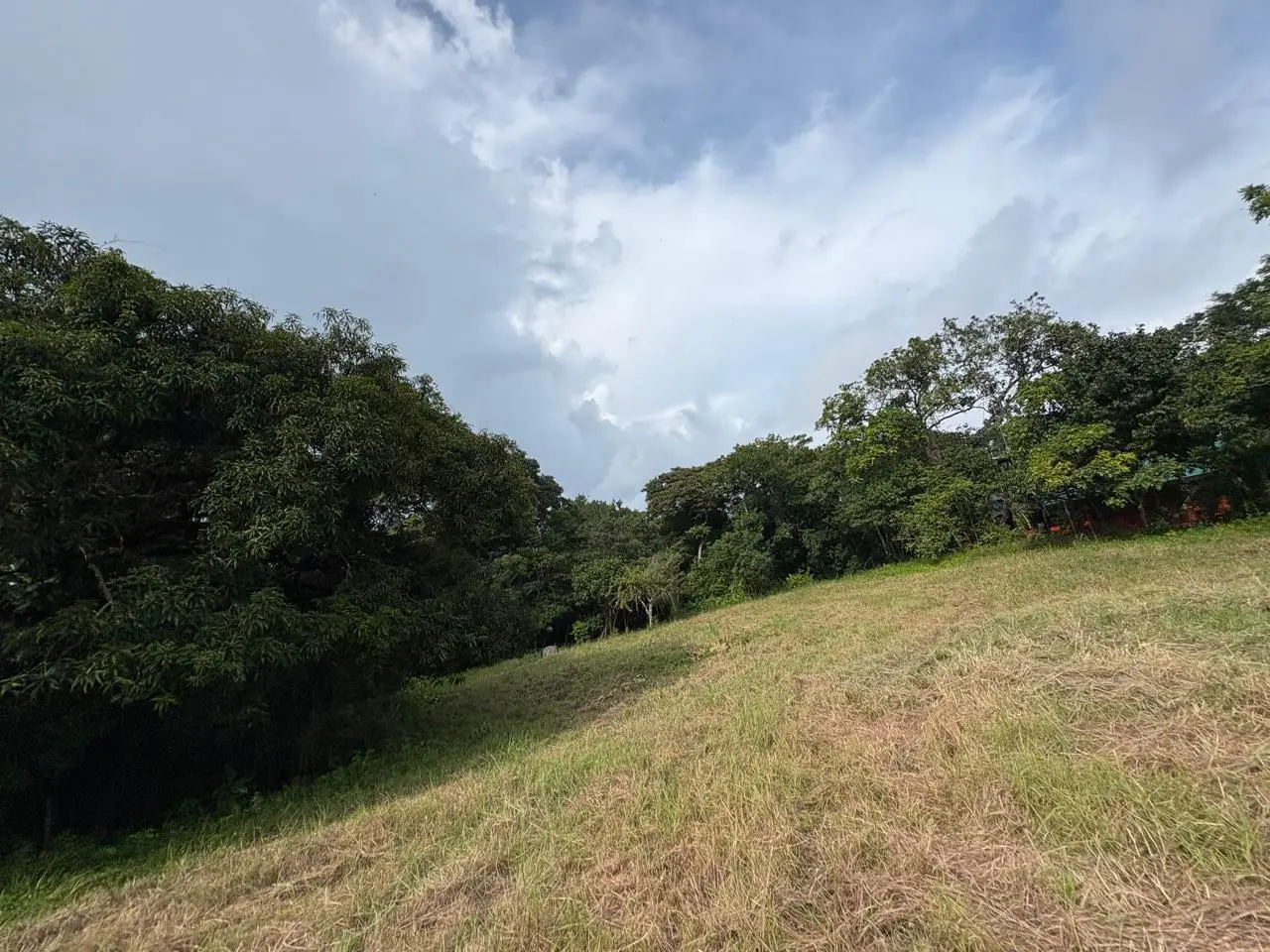 6,179 m² mixed-use land  in Delicias, minutes from  Montezuma and Santa Teresa - image 5