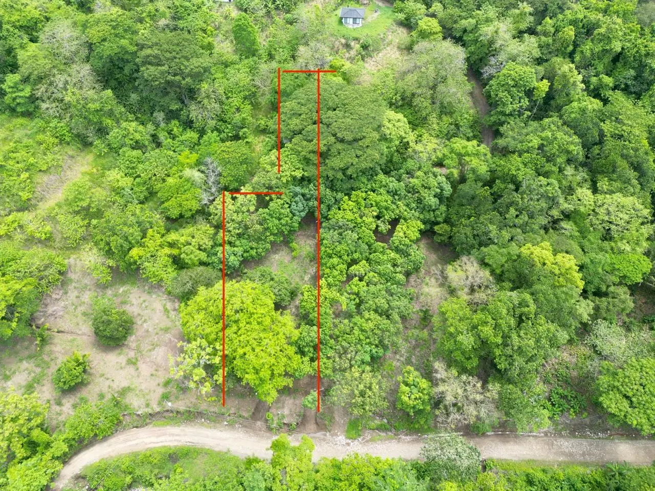 Enchanting 9,800 m² Land Surrounded by Jungle and Nature. A Peaceful Retreat Near Santa Teresa, Mal País, and Cabuya - image 11