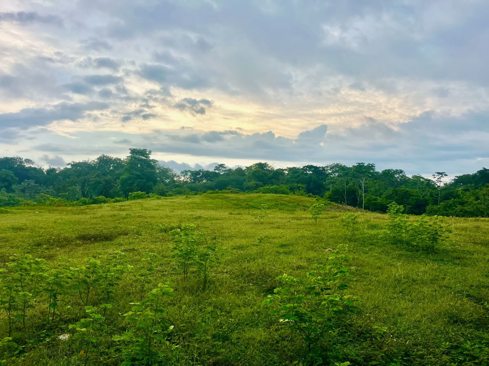 Exclusive Ocean View 2,7 hectares (6.8Acres) Estate Land in Playa Hermosa Hills - image 2