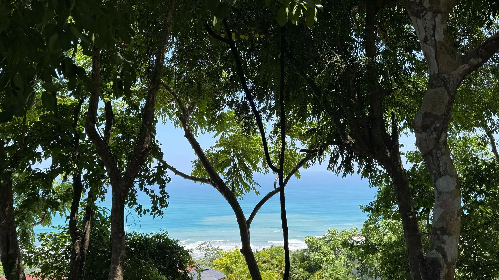 Exclusive 1260 m² Development Lot in Santa Teresa – Prime Location on Calle Buenos Aires - image 3