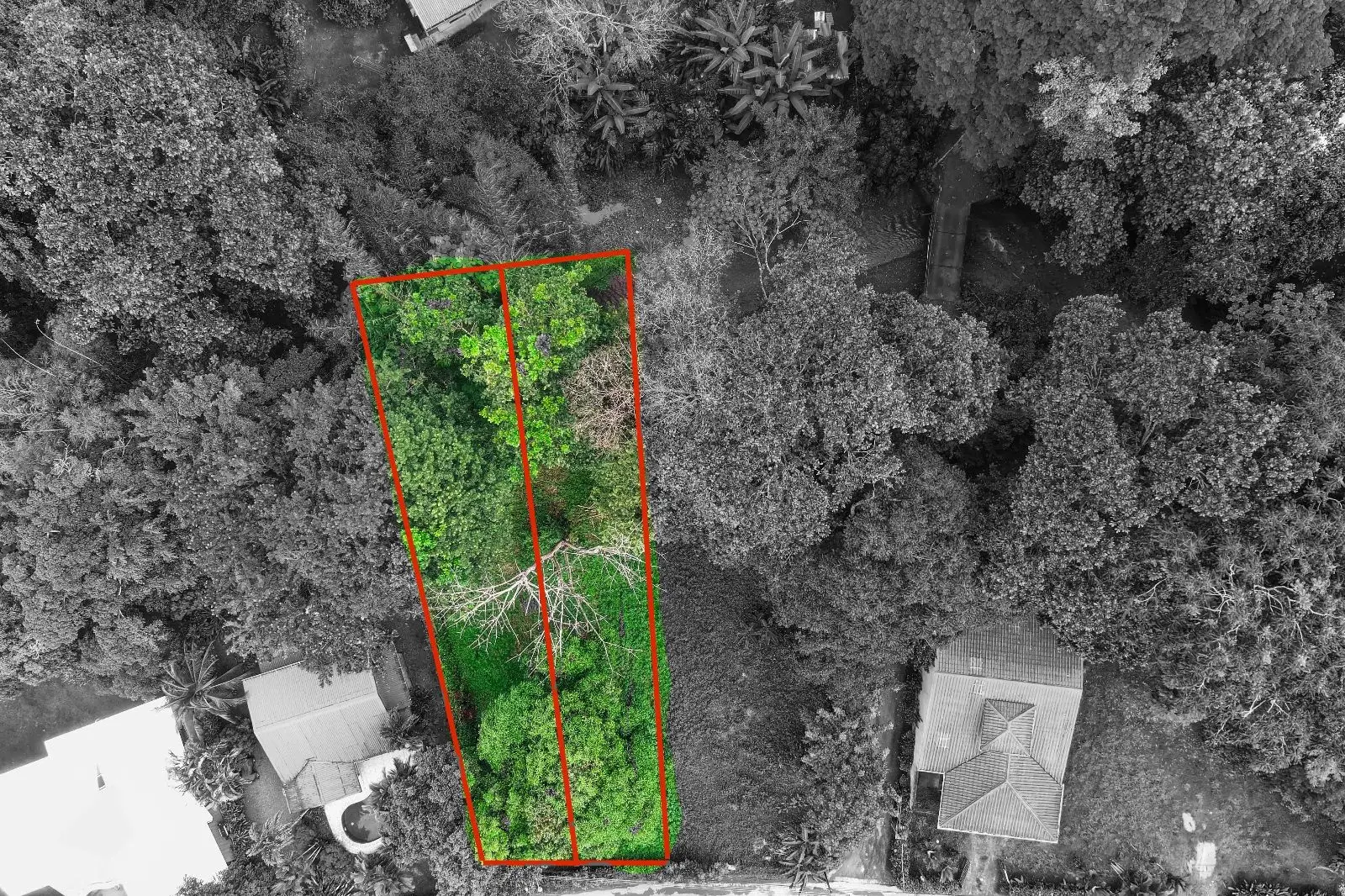 Affordable Lot in Jacó, Costa Rica - Perfect Investment! - image 5