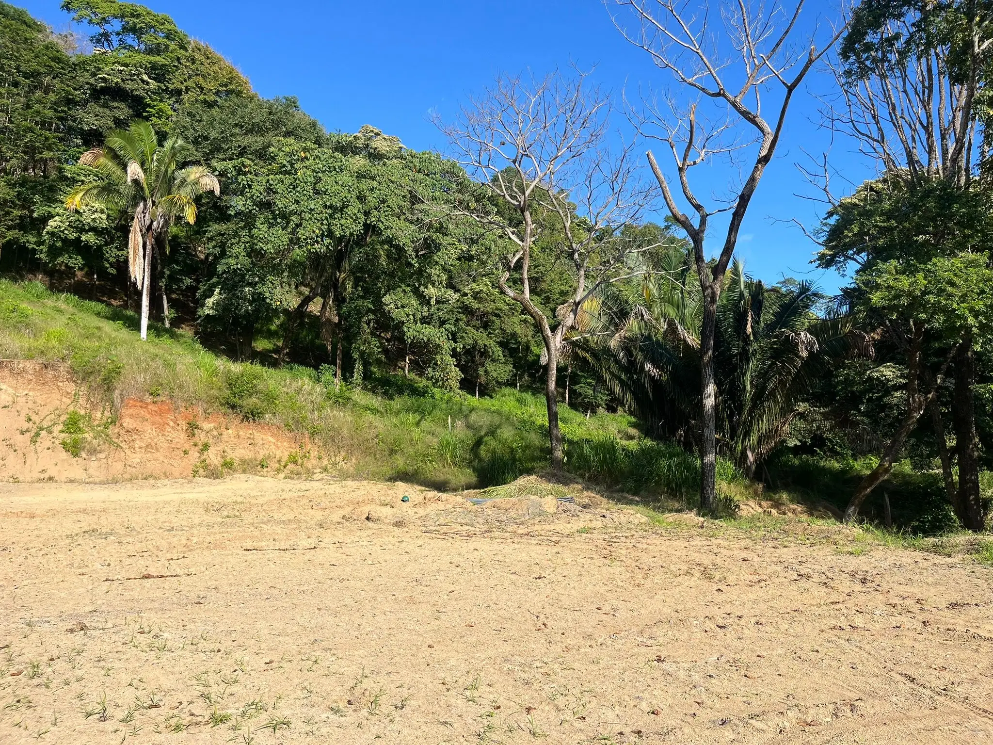 Amazing ocean view lot in the heart of Santa Teresa  - image 3