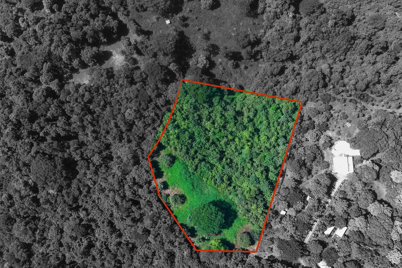 Garabito Land: 4-Acre Lot in Eco Desarrollo Community - image 5
