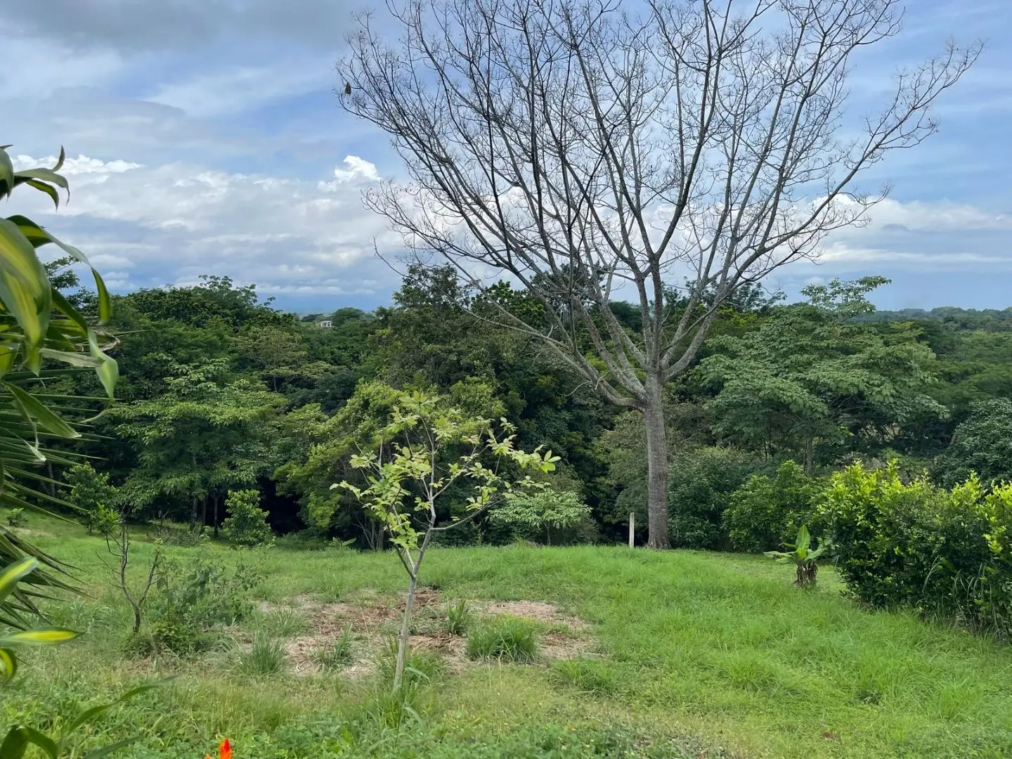 Hacienda Mi Quinta in San Mateo de Alajuela, Orotina - image 2