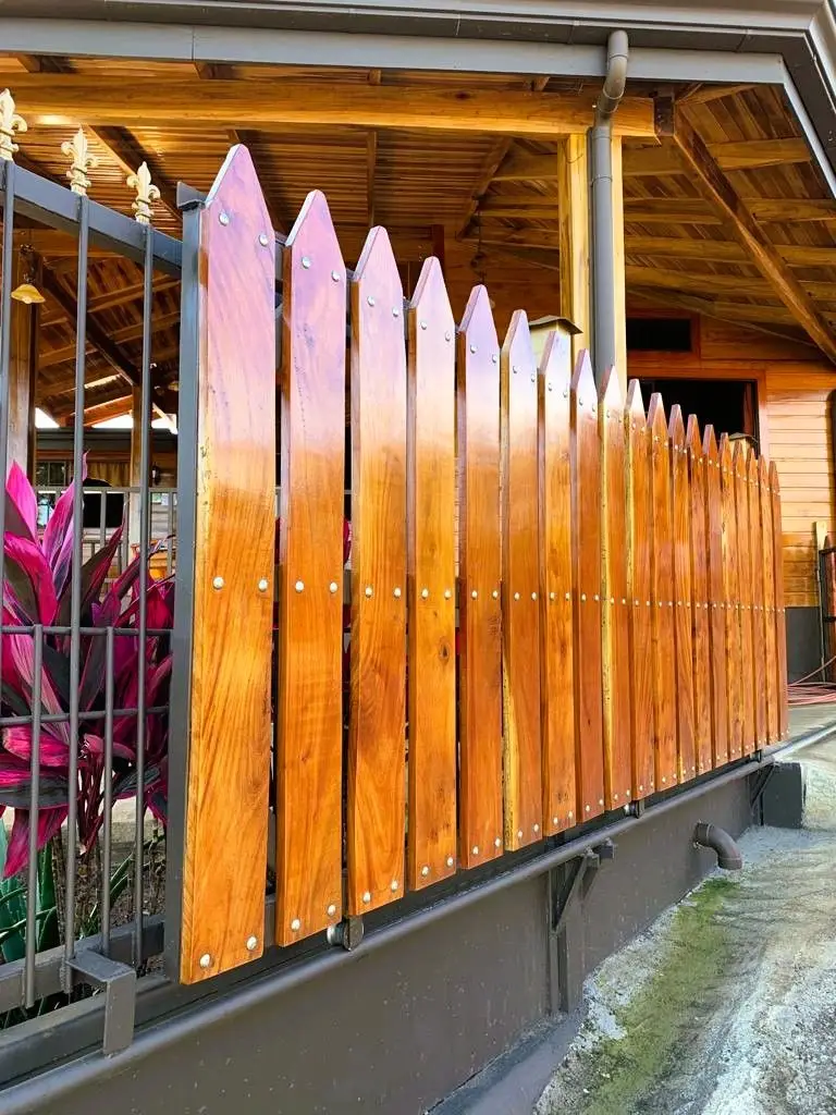 LOT FOR SALE WITH TWO HOUSES IN ATENAS, ALAJUELA - image 3