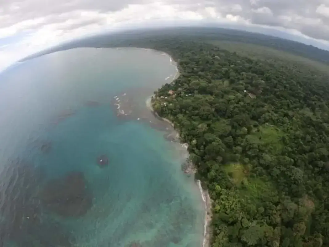 BEACHFRONT AND BIOLOGICAL RESERVE LAND IN LIMON - image 5