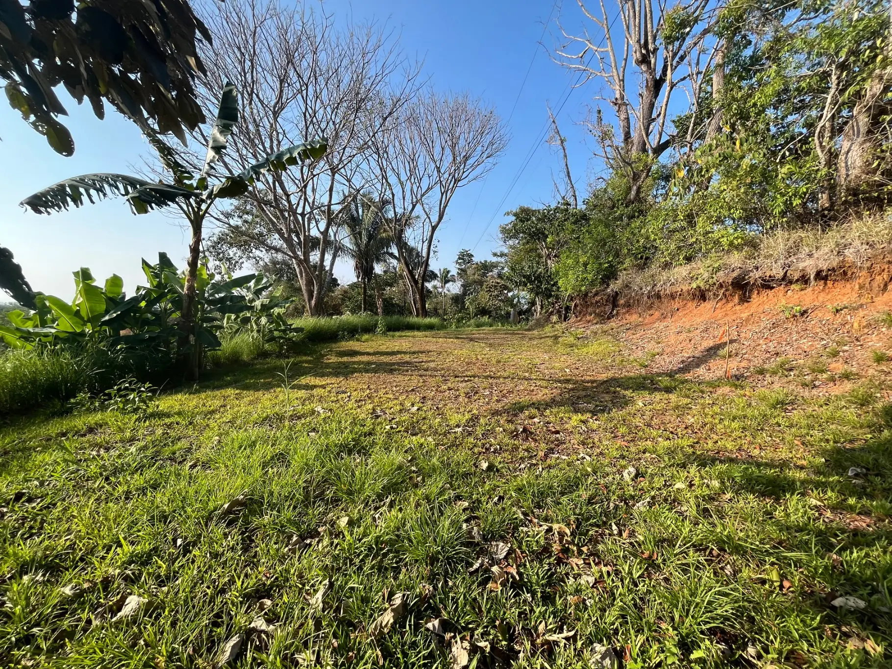 Lot with three building sites minutes to Hermosa in quiet neighborhood  - image 14