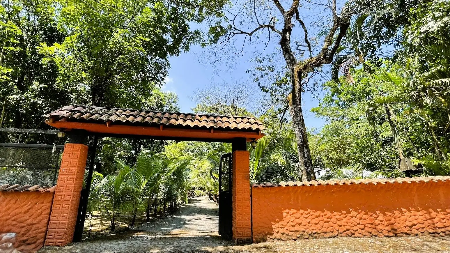 HOUSE WITH A POOL FOR SALE IN SAN MATEO, ALAJUELA - image 4