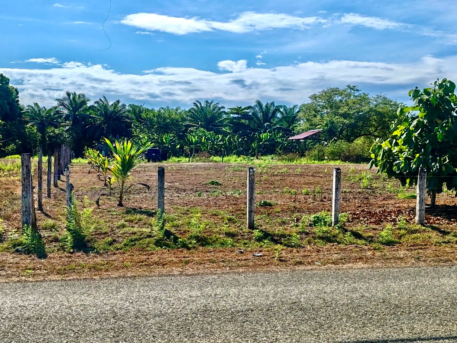 Expansive 4200sqm Land for Development or Farming near Playa Palo Seco, Parrita - image 3