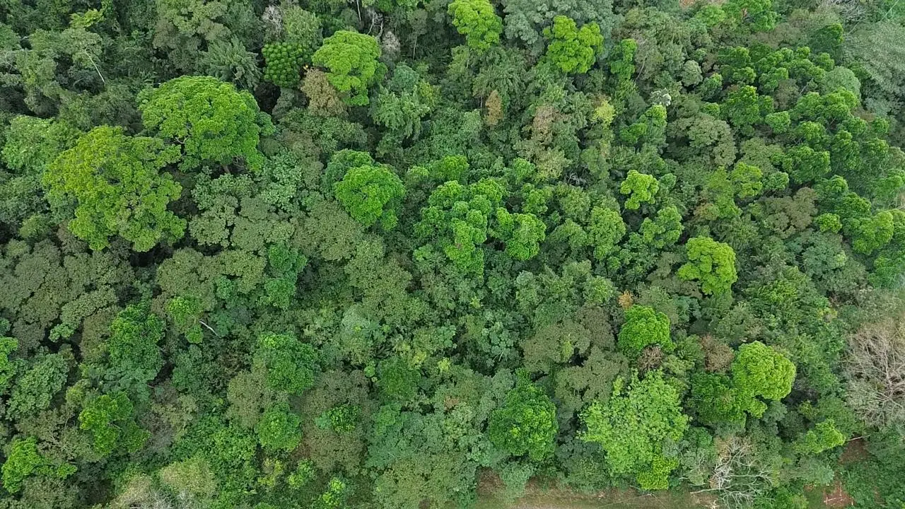 SALE / Dream Farm in the province of ALAJUELA - image 2