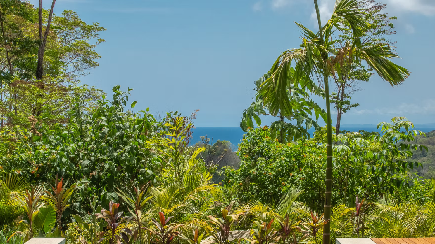 Luxury Oceanview  3 bedroom Villa  - image 3