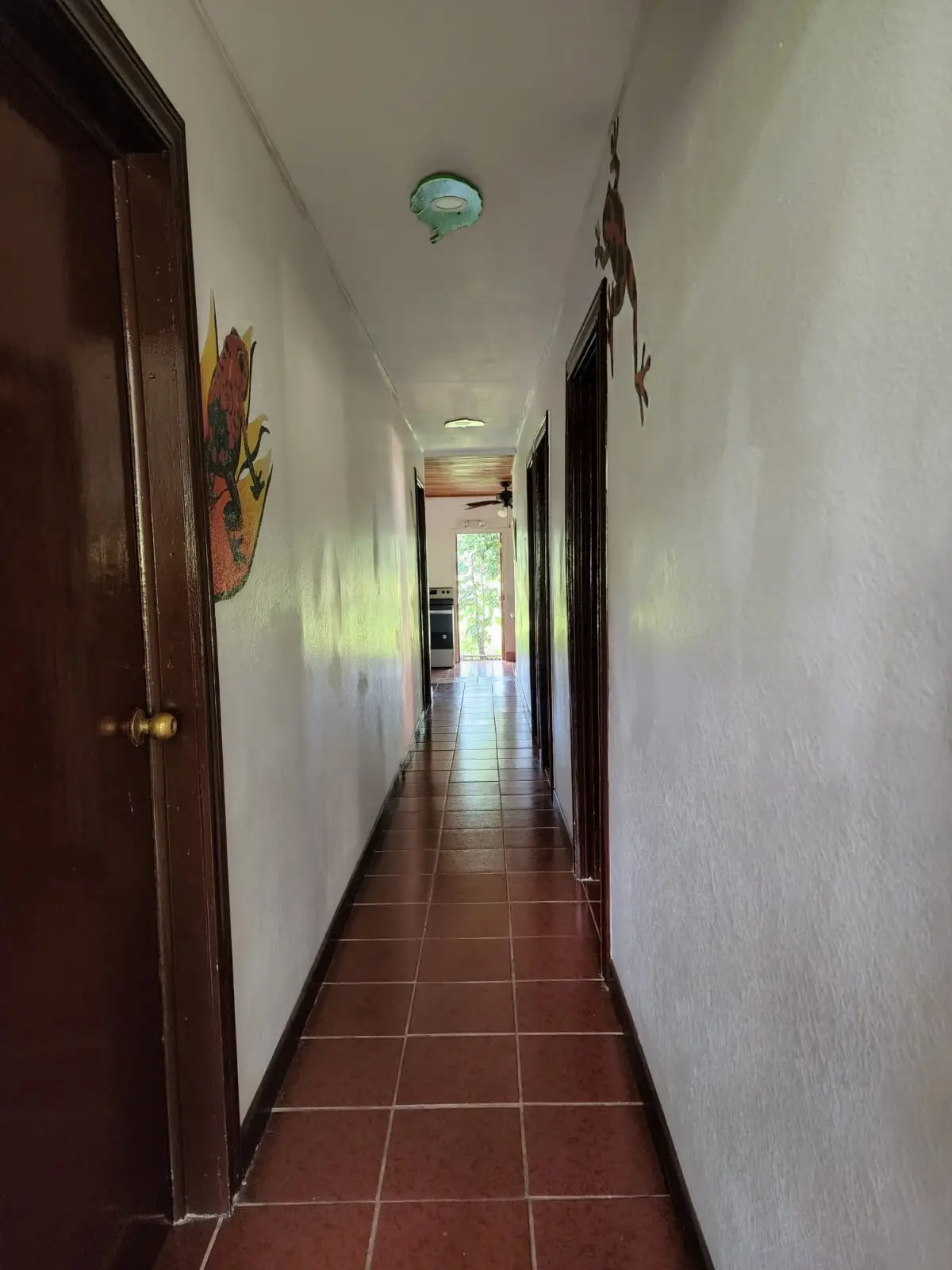 Oportunidad de inversión en Playa Tambor-Puntarenas Casa más Apartamento, Piscina y Lote - image 14