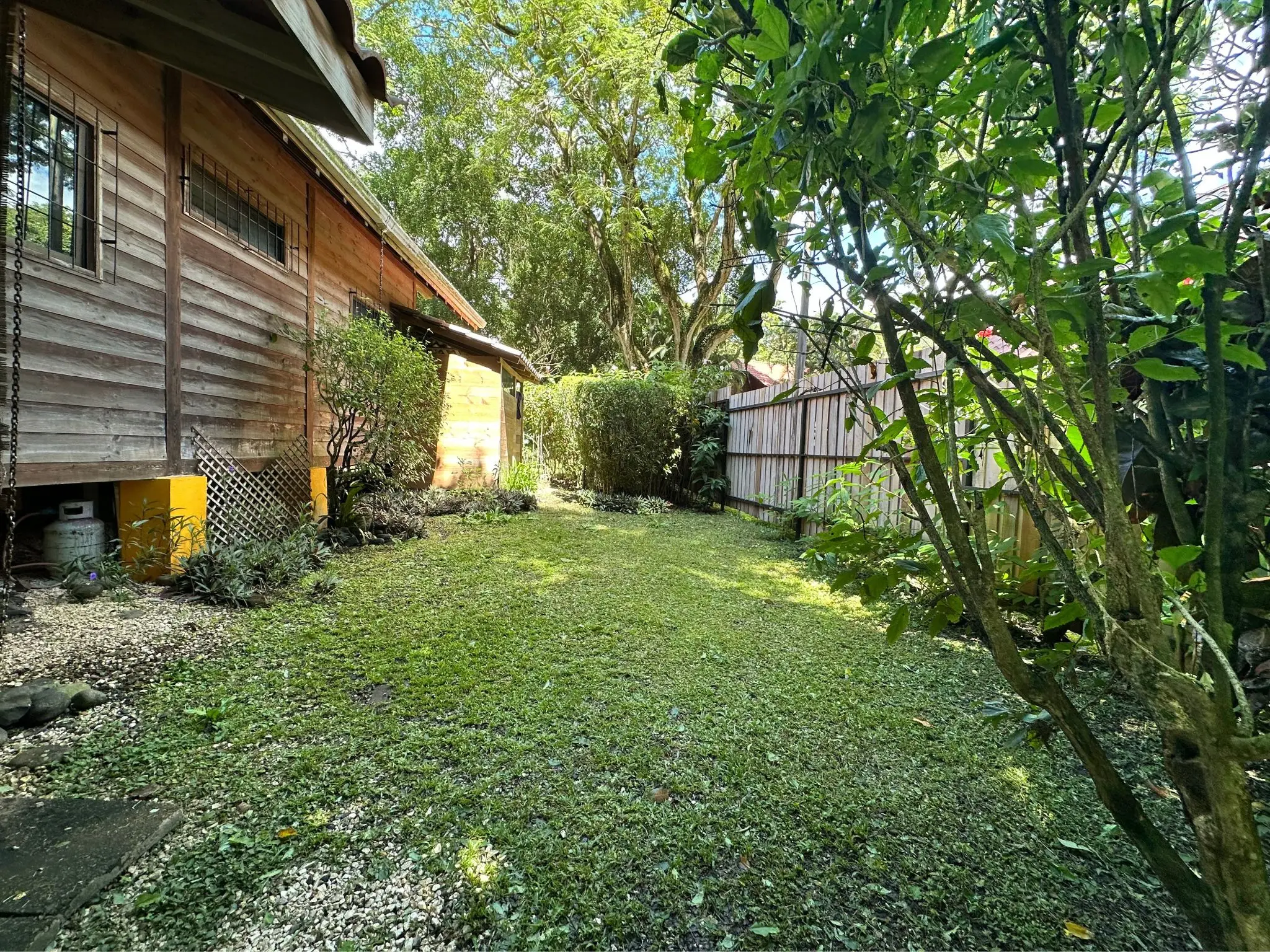 Charming Home with Guest Studio – Just Steps from the Beach in Mal País - image 6