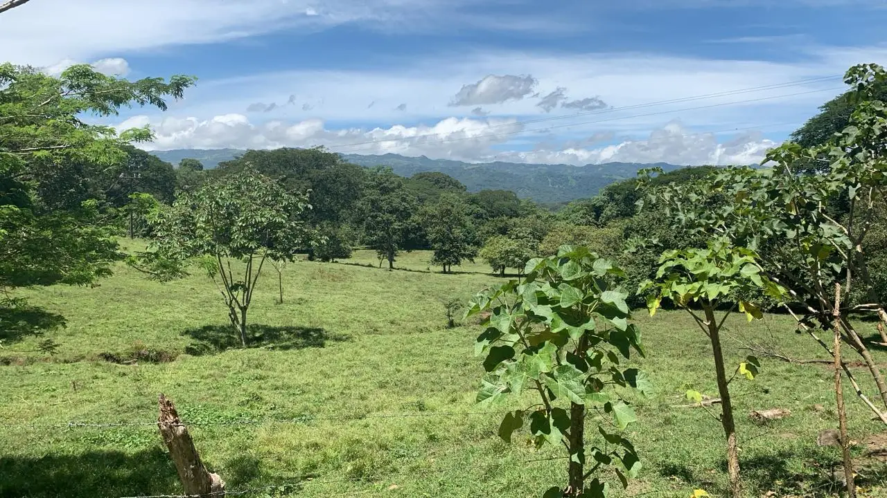 Expansive 2.77 Hectare Quinta in Scenic Turrúcares, Alajuela, Costa Rica - image 2