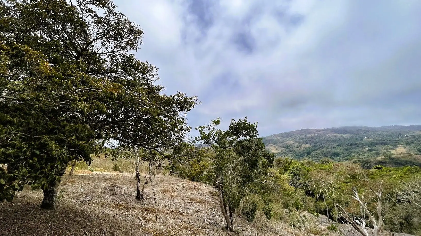 LOT FOR SALE - SAN PEDRO, SAN RAMON  - image 14