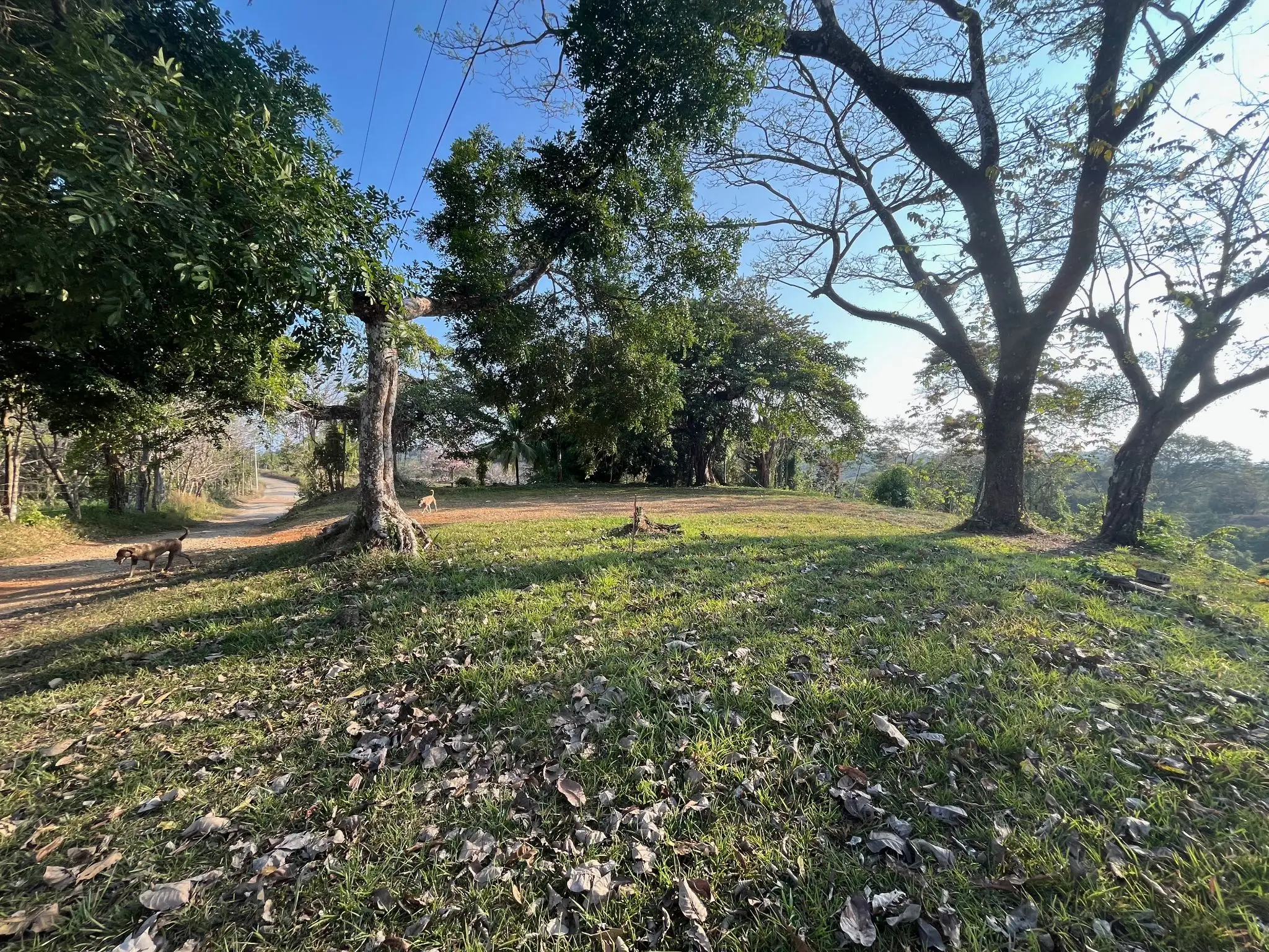 11,000 m² of Beautiful Land with Ocean View – Residential & Commercial Use in Santiago  - image 6