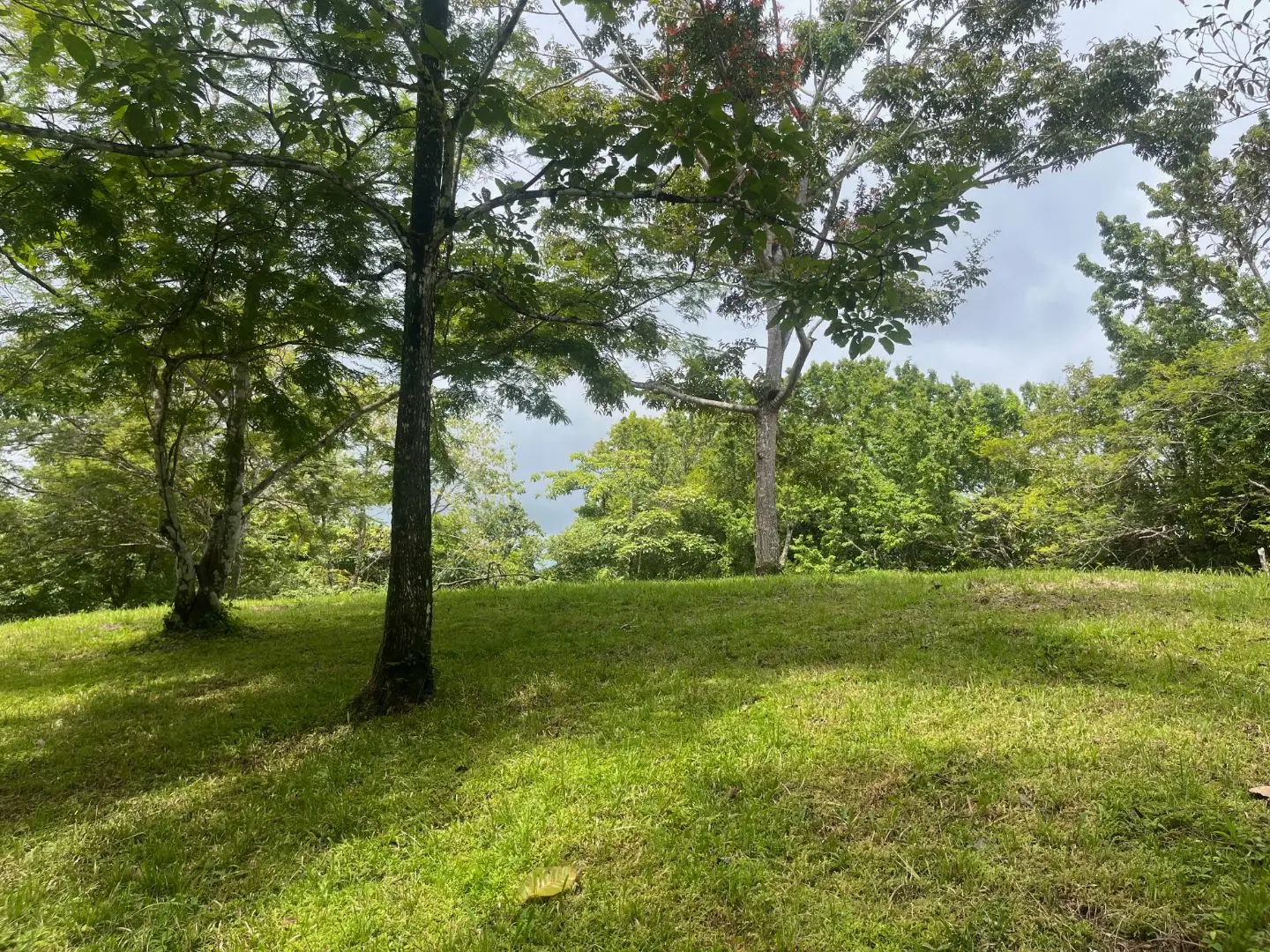 Beautiful Ready to Build Lot in Delicias,  Great Price with Project and Permits included - image 1