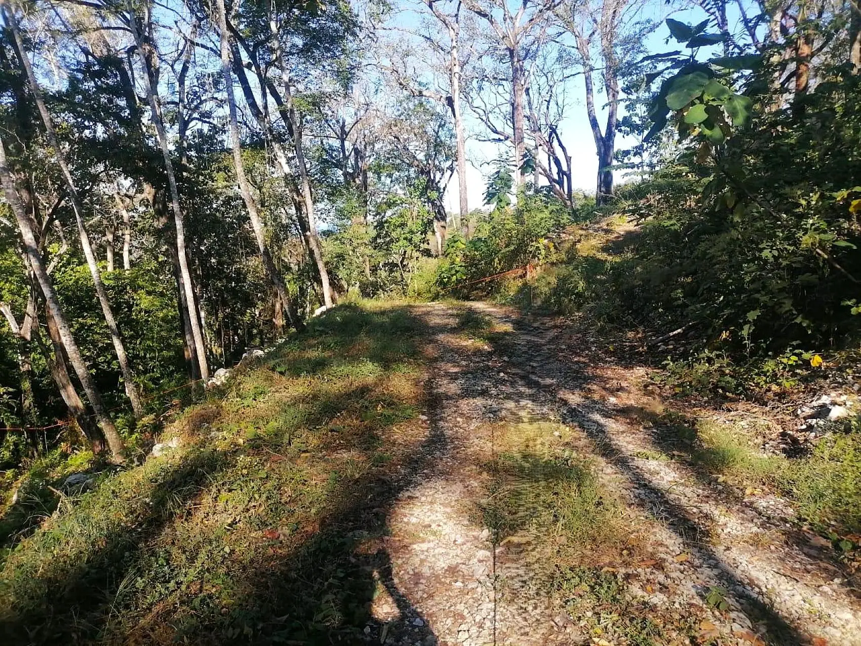 Amazing Tropical Mountain Lot for Sale - Santa Teresa - image 8