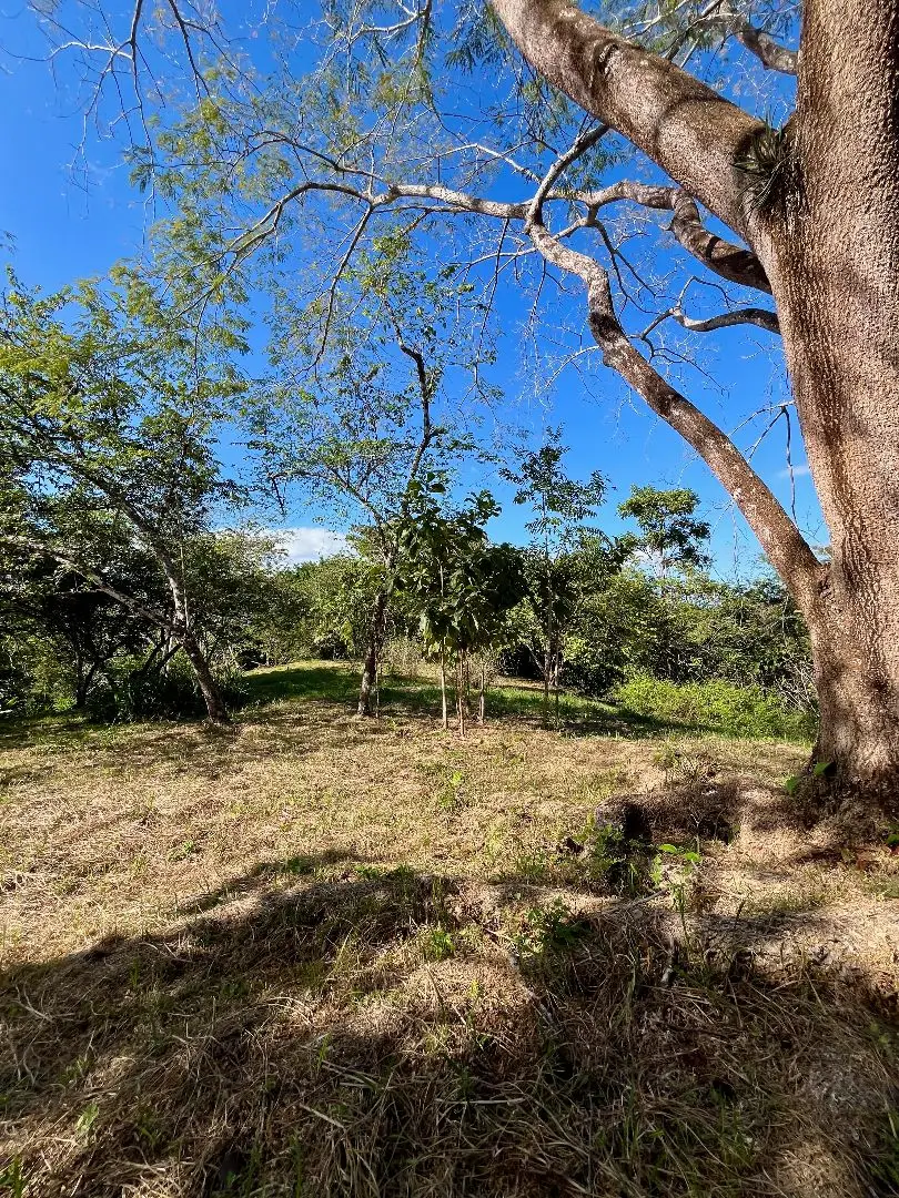 4000m2 Lot with parcial ocean views  in Delicias close to Montezuma and 20 min from Santa Teresa Ready to Build - image 8