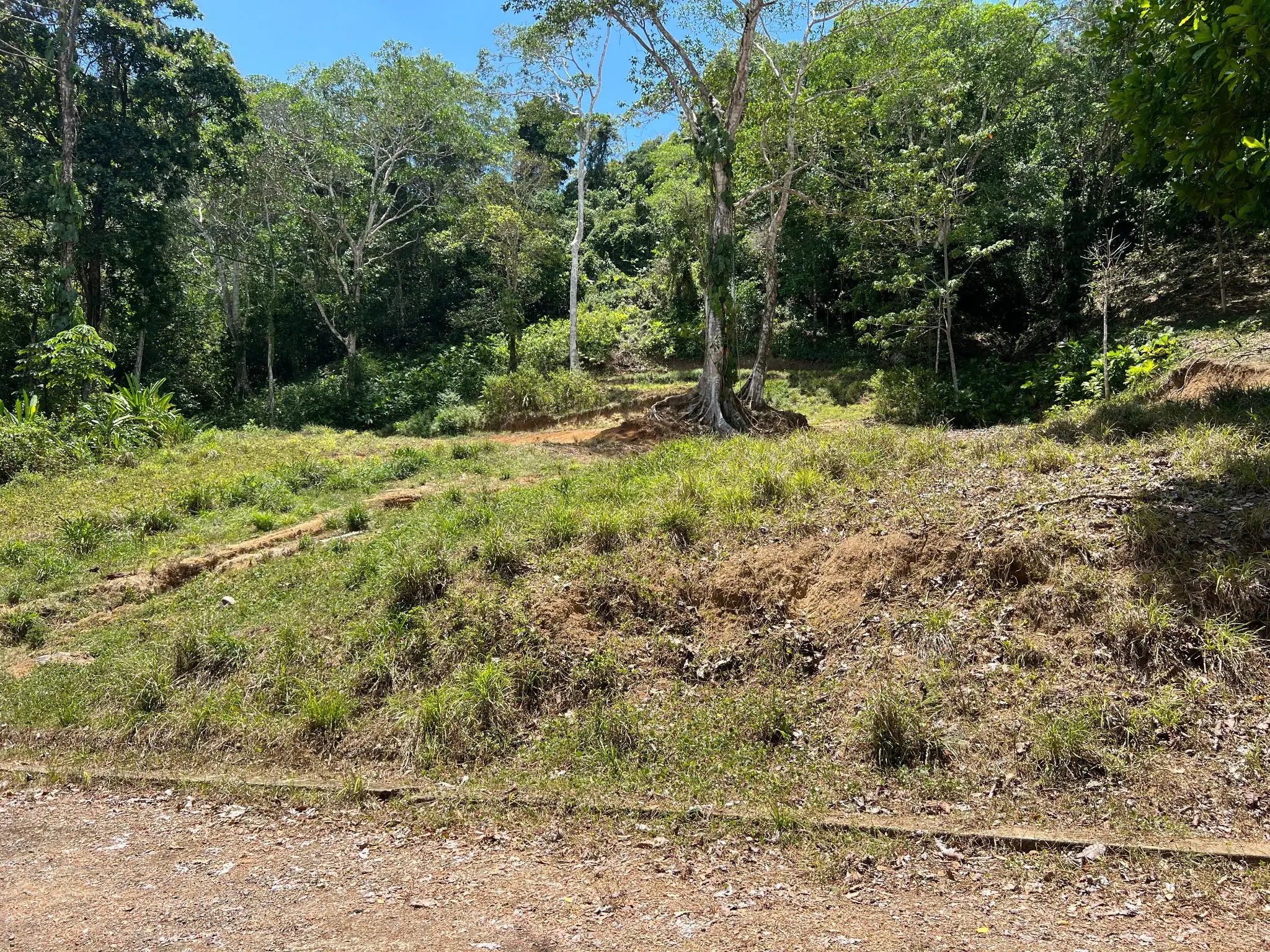 Prime 5028sqm Development Lot in Jacó, Costa Rica – Endless Possibilities Await  - image 6