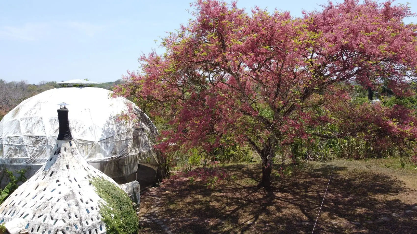 Incredible Artistic Resort-Style Property For Sale – San Isidro - image 12