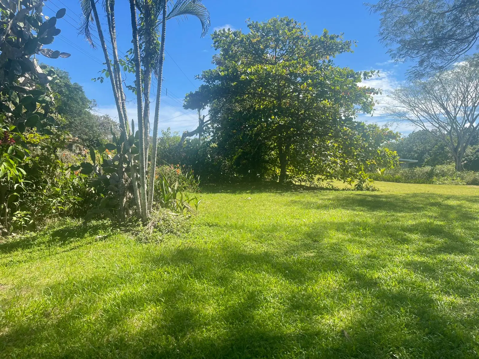 A hidden paradise in Orotina: 4,919 m² to create the life you dream of - image 1