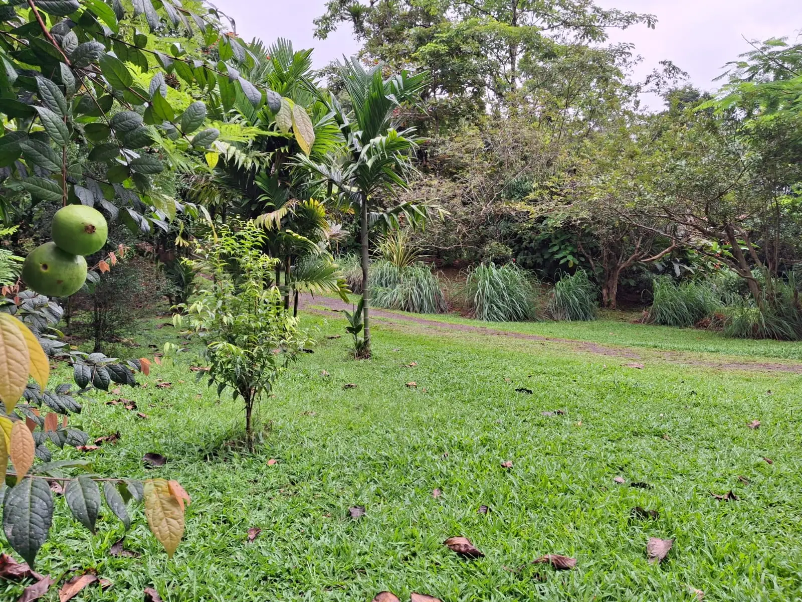 Bijagual Eco-Lodge Retreat: Sustainable Living with Guest Houses, River Access & Lush Gardens - image 10