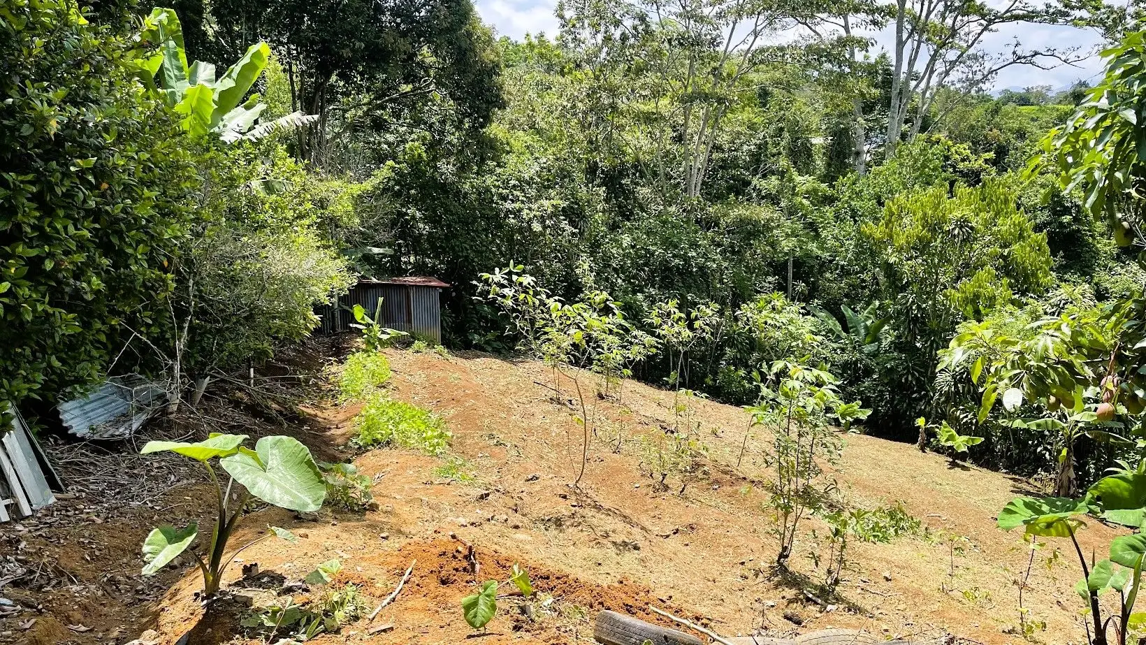 LOT FOR SALE IN ZARAGOZA, PALMARES  - image 5