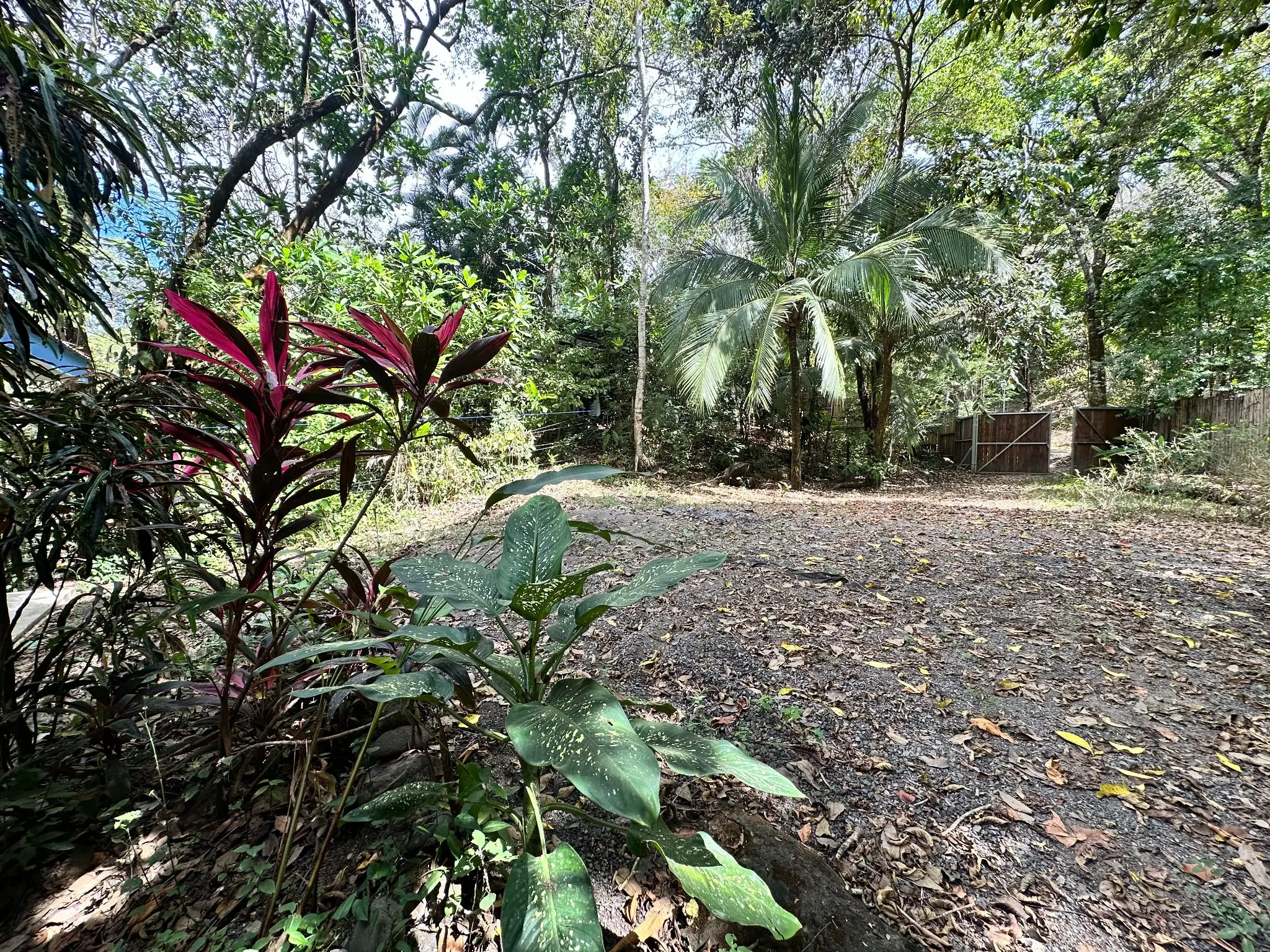 Prime Property for Sale in Mal País, Santa Teresa – Walking Distance to the Beach - image 10