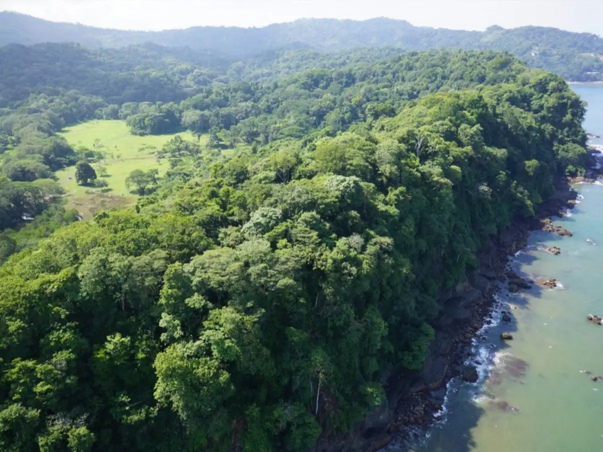 Central Pacific Oceanfront Resort Development Site | 111.9 Acres - image 7