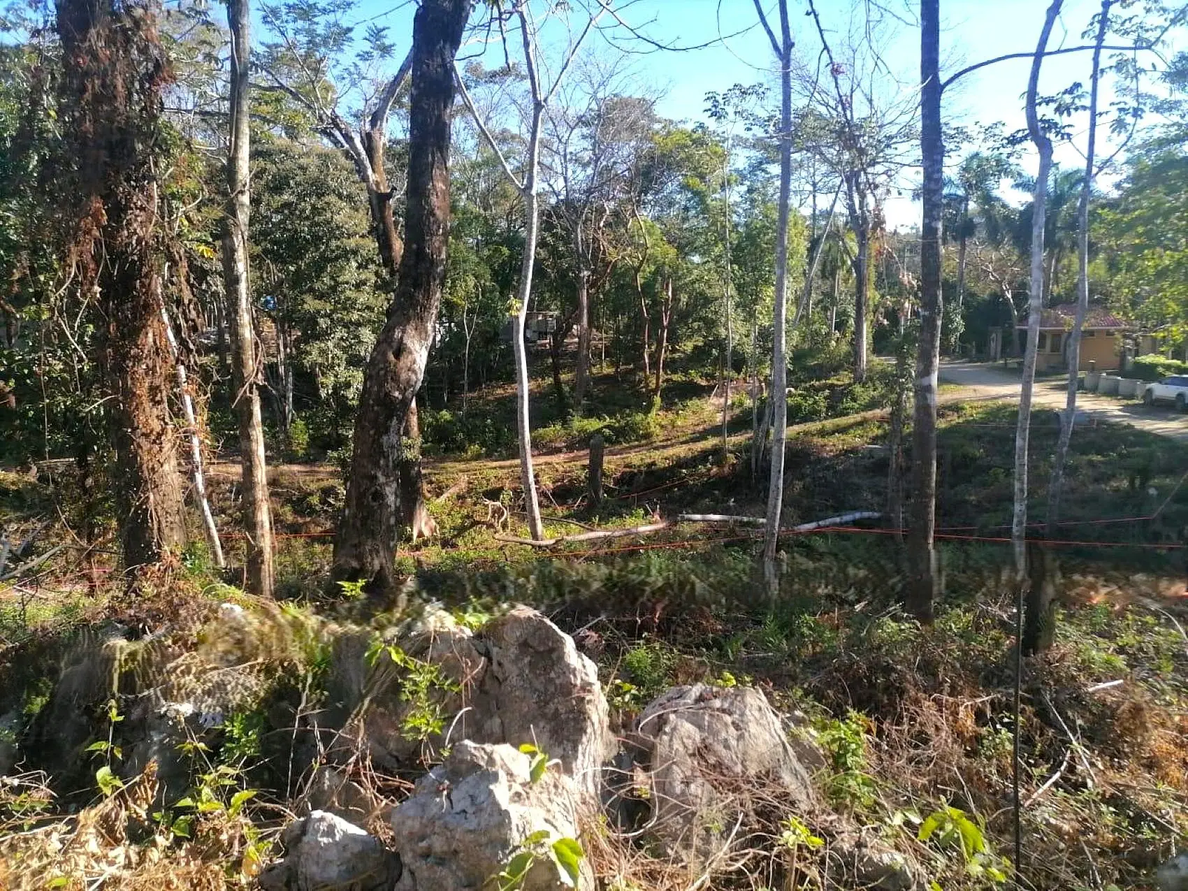 Amazing Tropical Mountain Lot for Sale - Santa Teresa - image 14