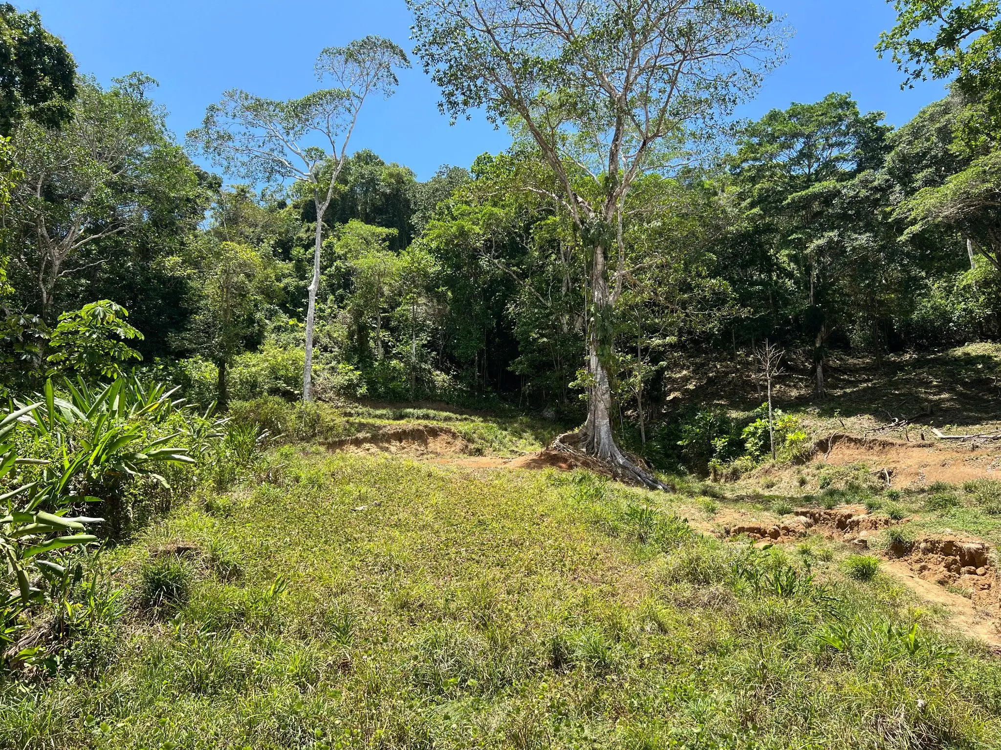 Prime 5028sqm Development Lot in Jacó, Costa Rica – Endless Possibilities Await  - image 5